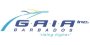 Grantley Adams International Airport