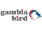 Gambia Bird Airlines