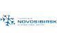 Novosibirsk International Airport Tolmachevo