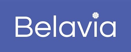 Image result for Belavia logo
