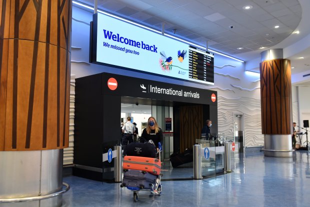 are dogs allowed at auckland airport