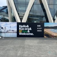 Auckland Airport travel numbers begin to climb as Australian tourists return - Vimarsana News