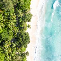 Air Seychelles, Turkish Airlines To Codeshare On Four Routes - Vimarsana News