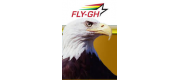 Royal Fly-GH Airline Company Limited