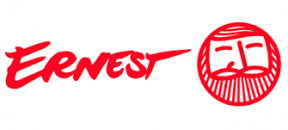 Image result for Ernest Airlines logo