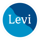 Visit Levi logo