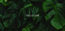 Hill & Lamb logo