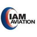 Icelandic Aircraft Management (IAM Aviation) logo