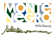 National Tourism Organisation of Montenegro logo