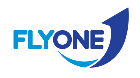 FlyOne logo
