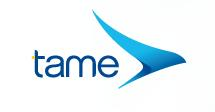 TAME logo