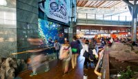 Aquarium International