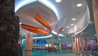International Arrivals
