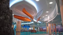 International Arrivals