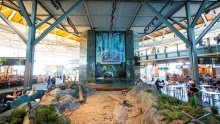 International Terminal