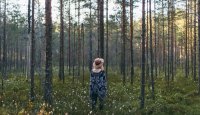 Forest - Alex Mazurov_NearTheLightHouse