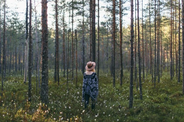 Forest - Alex Mazurov_NearTheLightHouse