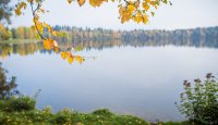 Lakes in Autumn - Laura Vanzo