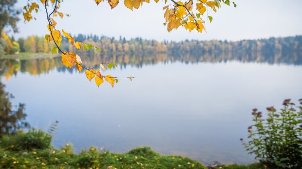 Lakes in Autumn - Laura Vanzo