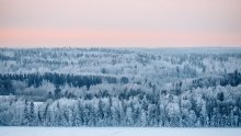 Winter in Tampere - Alex Mazurov