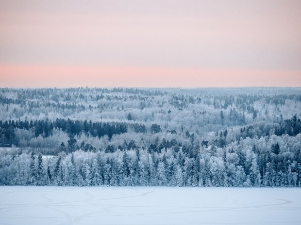 Winter in Tampere - Alex Mazurov