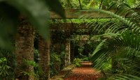 The Retreat Garden