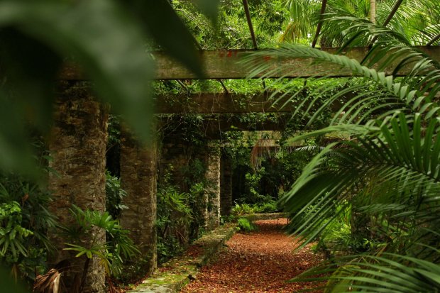 The Retreat Garden