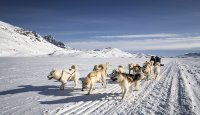 Greenland International Airports