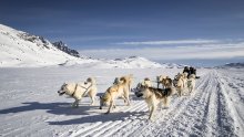 Greenland International Airports