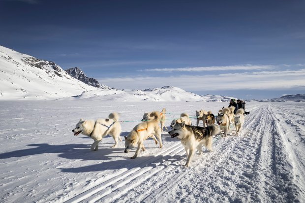 Greenland International Airports