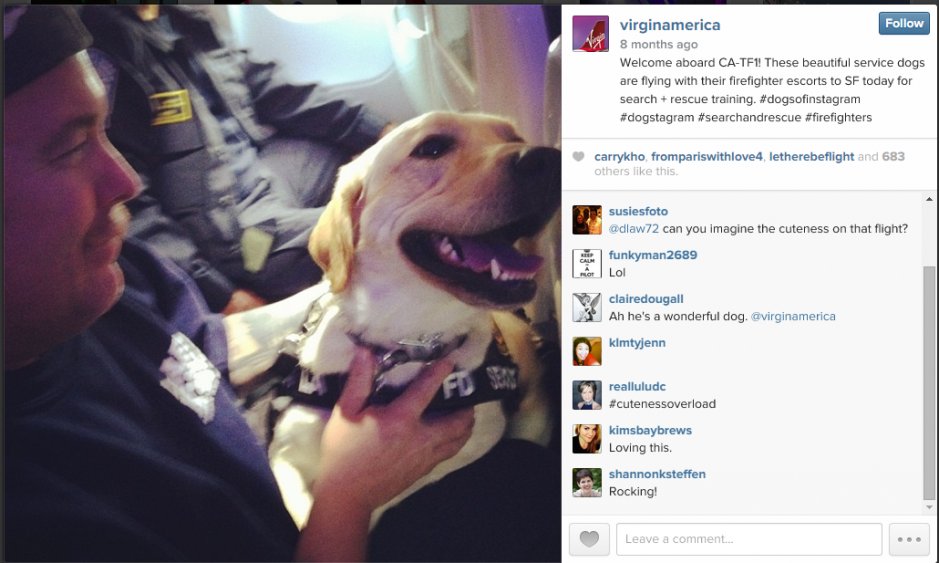 Virgin America have used an image of service dogs on one of their planes- documenting the perfect way to use a ‘fun’ image which is also related to the service they offer. #flyingdogs