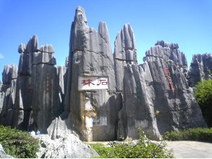 Stone Forest