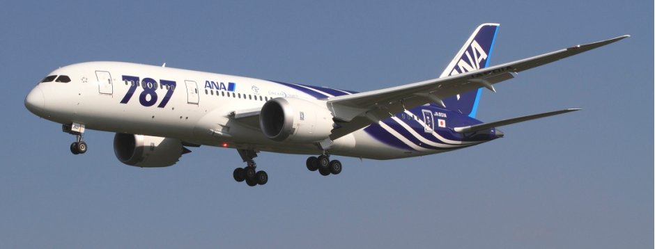 787 - ANA