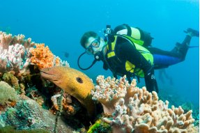 underwater scene