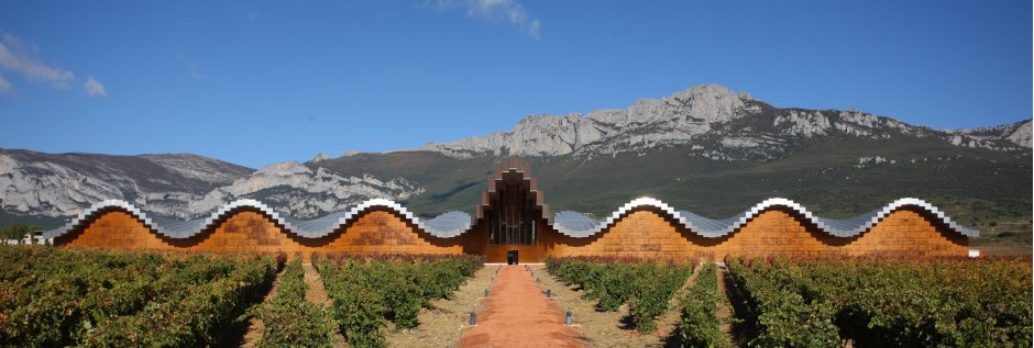 Basque Country wine farm