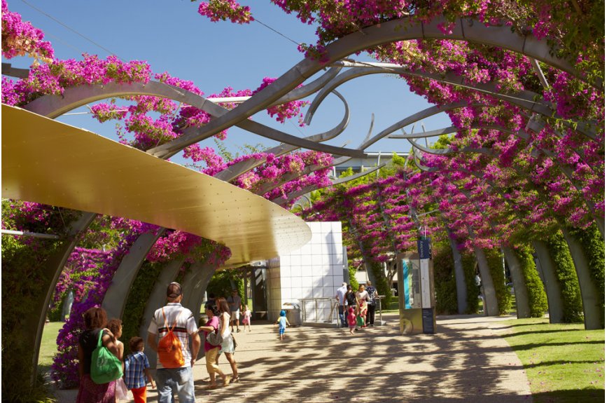 Brisbane South Bank Arbour