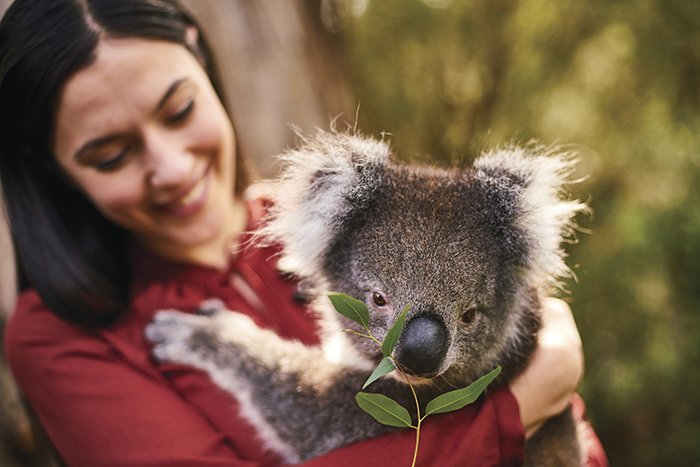 Cleland Wildlife Park