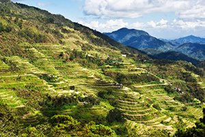 Banaue Rice Terraces