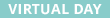 Virtual Day Tag