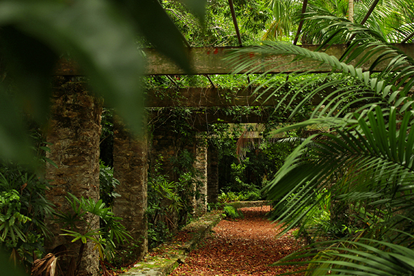 Bahamas National Trust - The Retreat Garden 600x400