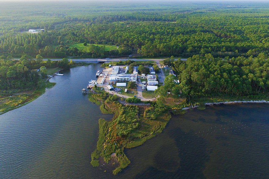 FSU marina lab