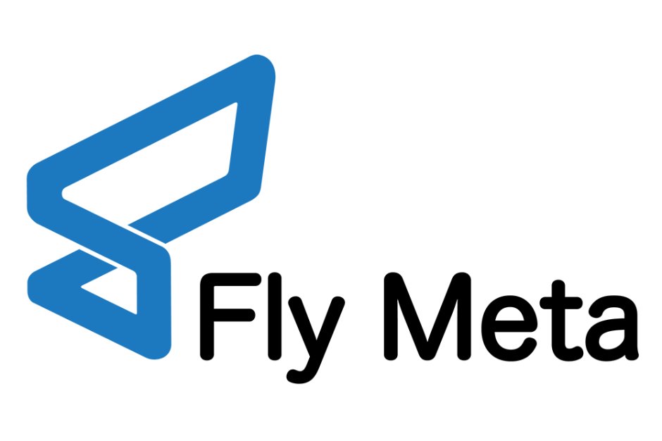 fly meta