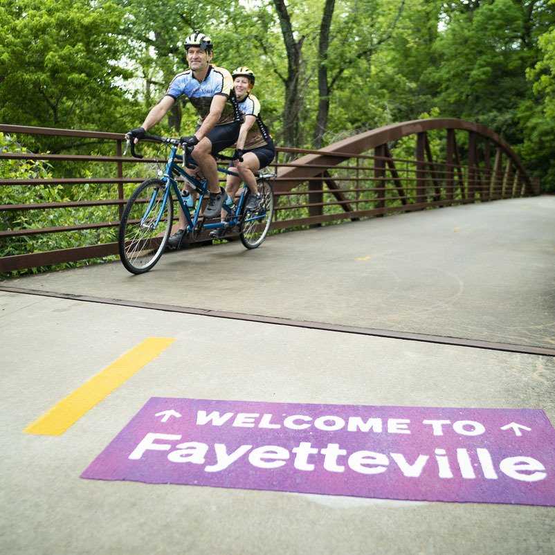 FAY activity