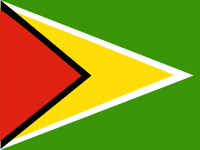 Flag of Guyana